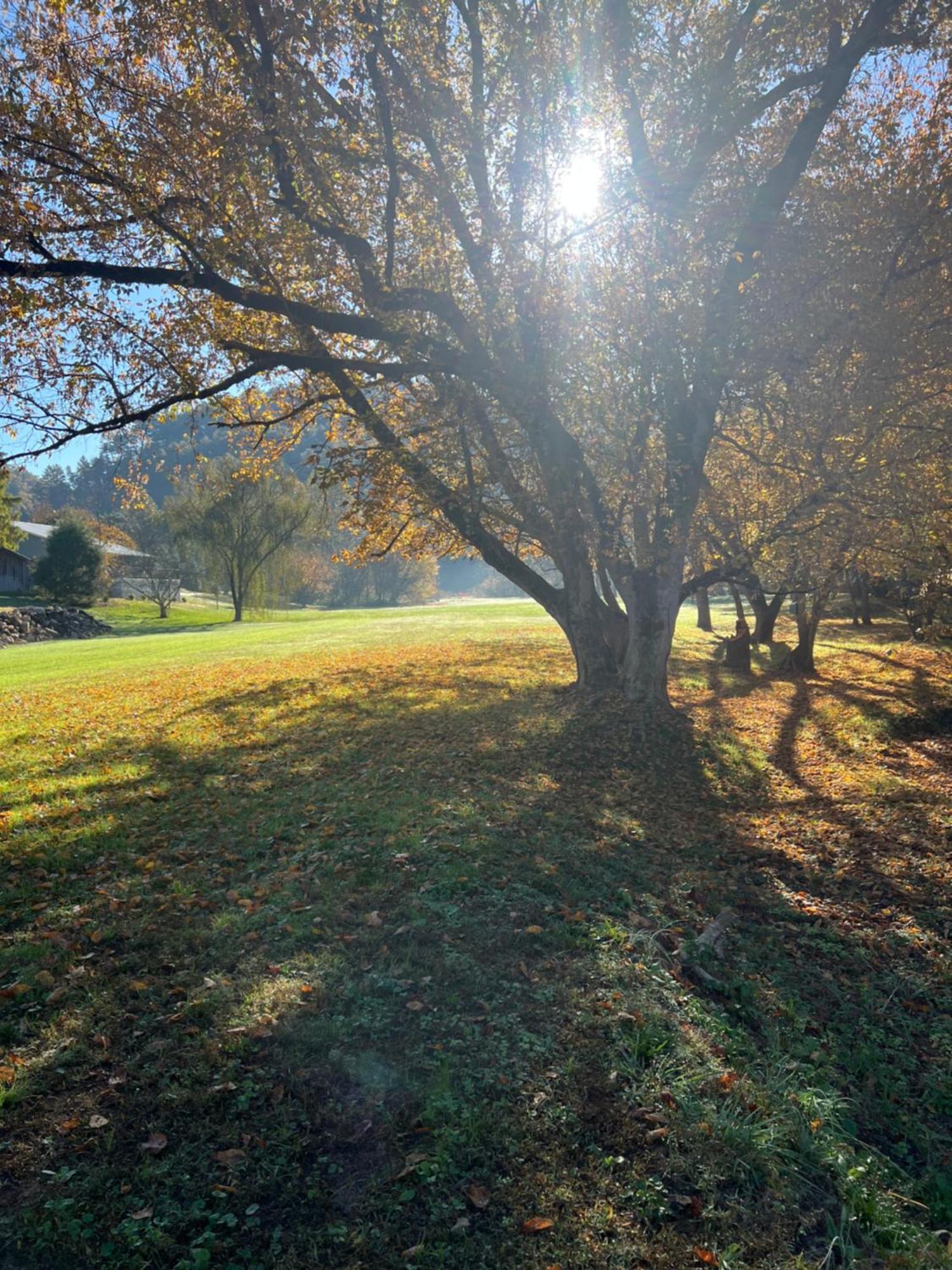 Firefly Fields 2-Acres With Guest House, Game Room, Mountain & River Views Sevierville Exterior foto